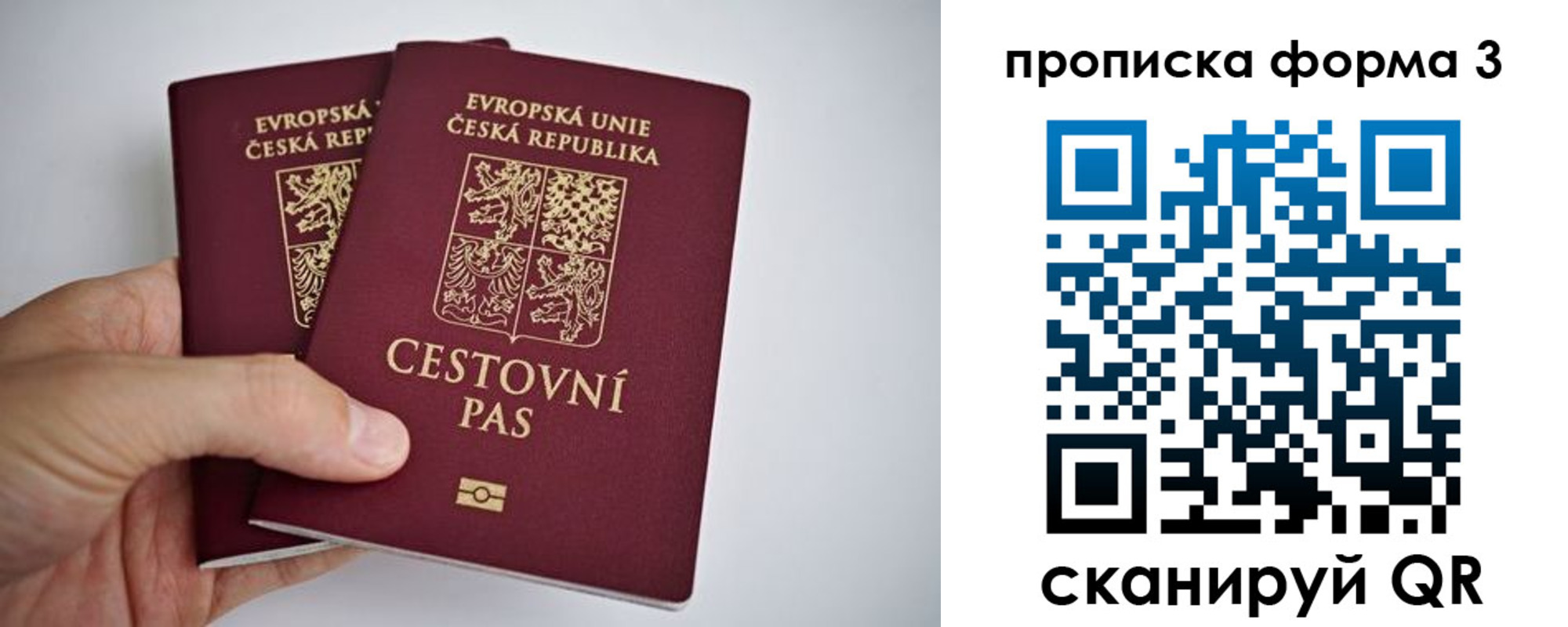 регистрация для школы в Ивановской области